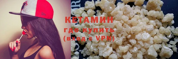 ПСИЛОЦИБИНОВЫЕ ГРИБЫ Михайлов