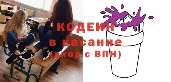 ПСИЛОЦИБИНОВЫЕ ГРИБЫ Михайлов