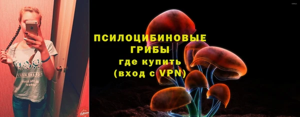 ПСИЛОЦИБИНОВЫЕ ГРИБЫ Михайловск