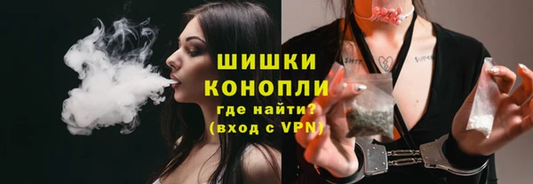 ПСИЛОЦИБИНОВЫЕ ГРИБЫ Михайловск