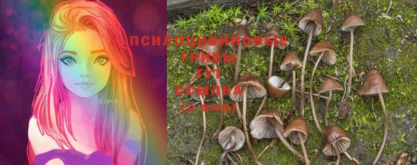 ПСИЛОЦИБИНОВЫЕ ГРИБЫ Михайловск