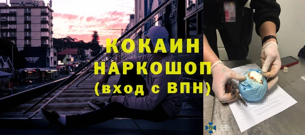 ПСИЛОЦИБИНОВЫЕ ГРИБЫ Михайлов
