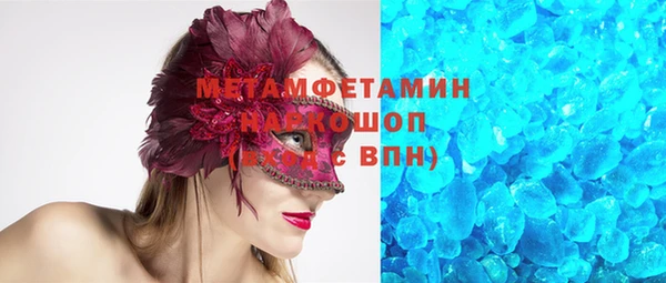 ПСИЛОЦИБИНОВЫЕ ГРИБЫ Михайлов