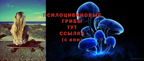 крисы Михайловка